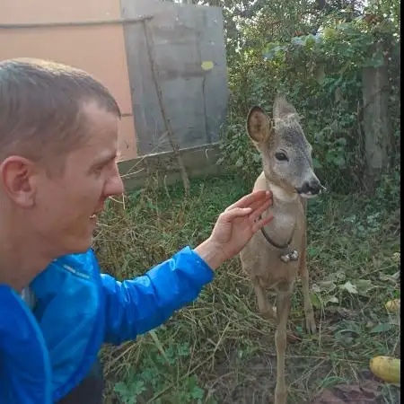 Miki, 38Берлин 