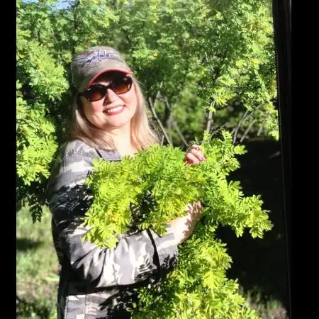Milla, 61Пасау 