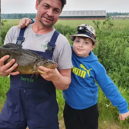 Александр, 46Рейн