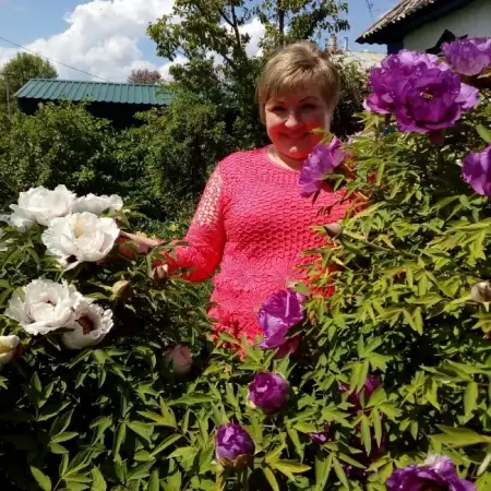 Елена, 52Висбаден 