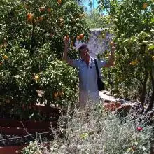 David, 71Ганновер 