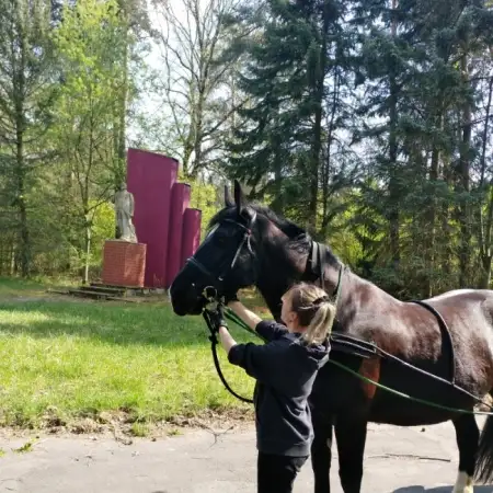 Лидия, 38Кассель 