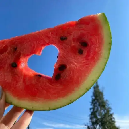 MaxRohVeg, 45Хемниц 