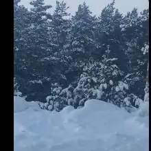 Alex, 50Дюссельдорф
