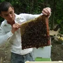 DMITRY, 40Франкфурт-на-Одере 