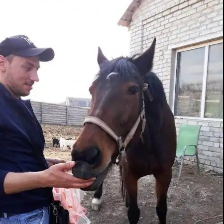 Андрей, 36Аугсбург