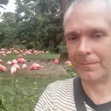 Фото Роман 1 