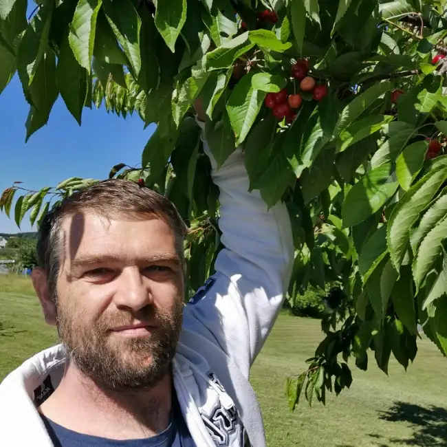 Sergiu, 43, Рютлинген - Liebe ru