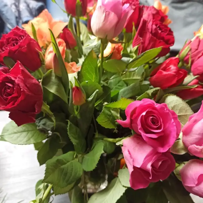 Olga, 33, Дармштадт - Liebe ru
