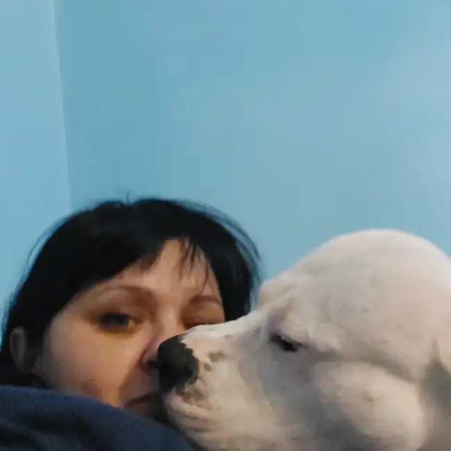 Zhanna, 41, Мюнхен - Liebe ru