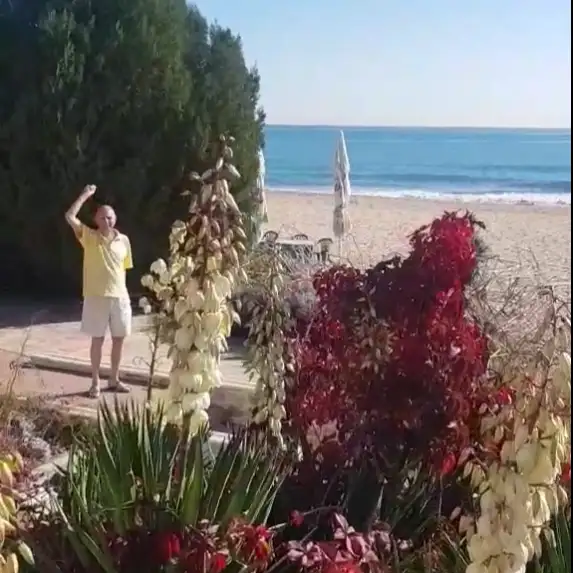 Alex, 76, Нюрнберг - Liebe ru